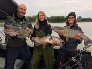 3 anglers catching huge catfish