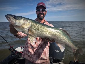 Happy fisherman wholding a Trophy Lake Winnipeg greenback walleye