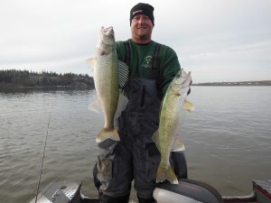 Pine falls selkirk greenback walleye guide