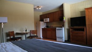 Selkirk In - Kitchenette